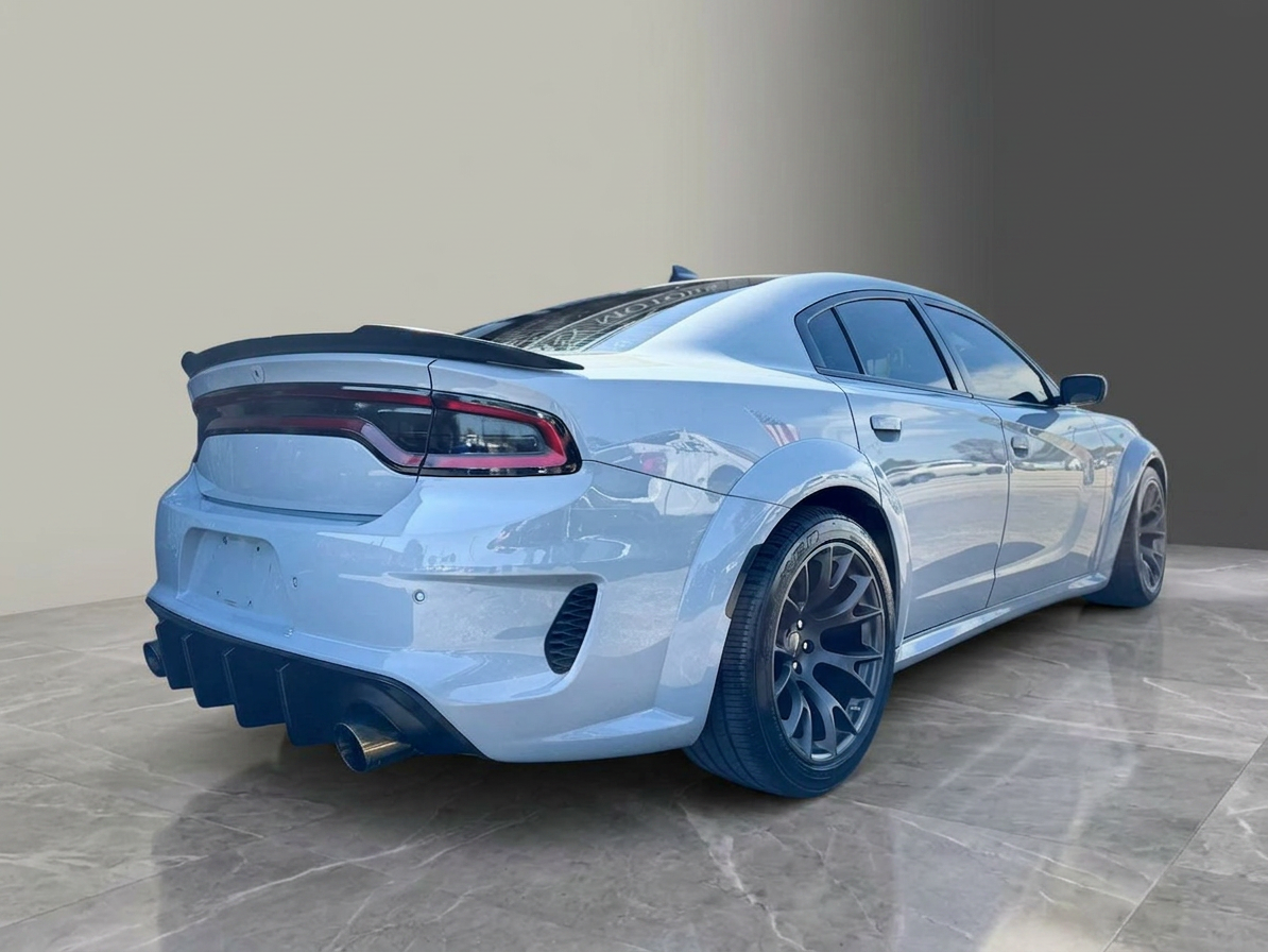 2020 Dodge Charger — photo 14