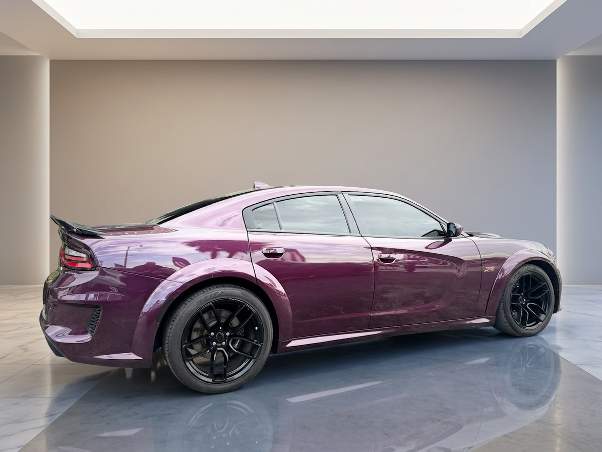 2021 Dodge Charger — photo 14